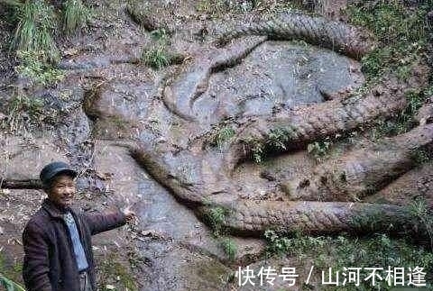 宝藏#一句童谣引出的宝藏,盗墓贼光顾了百年,专家探测发现真是宝藏!