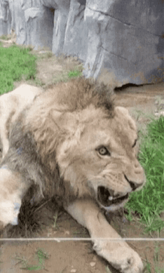 |搞笑动态图:该死,被他装到了!