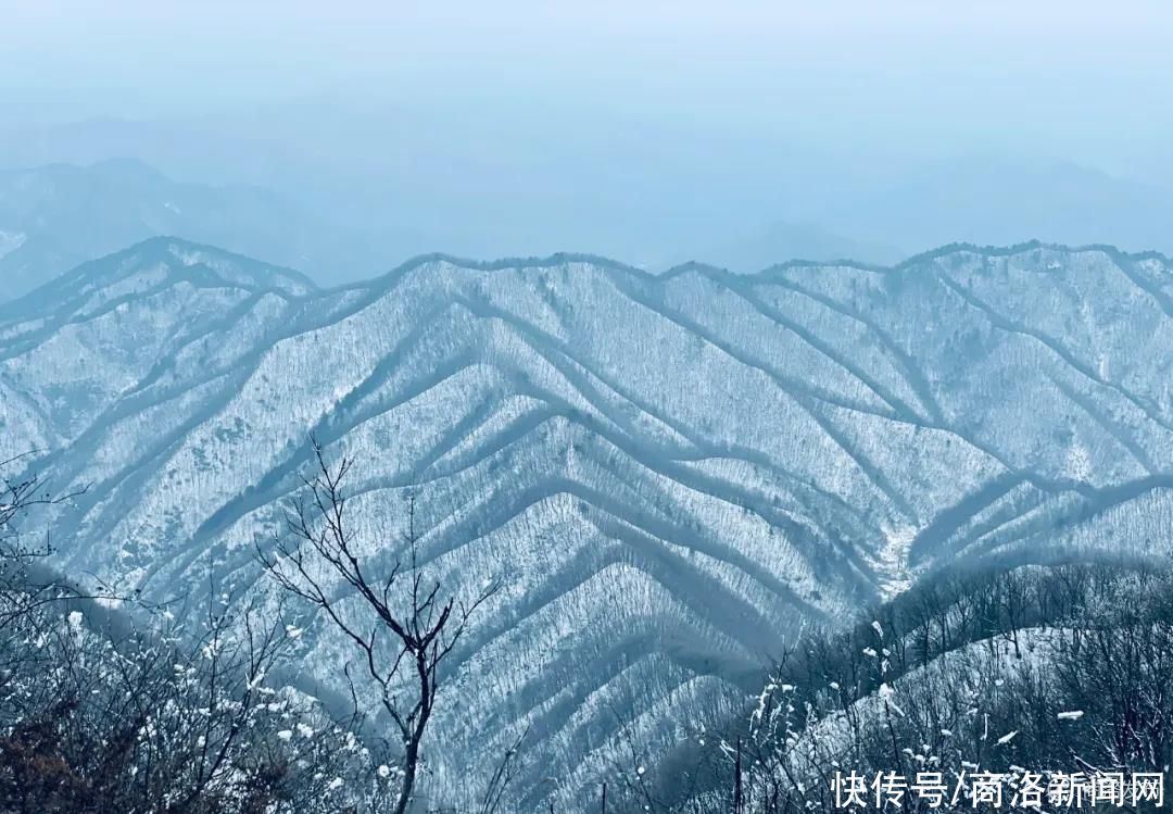 秦王|美！商州秦王山现冰雪树挂景观