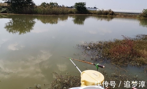 饵料|冬季钓鲫鱼，注意这些鲜为人知的细节，距离爆护怕是不会远了！