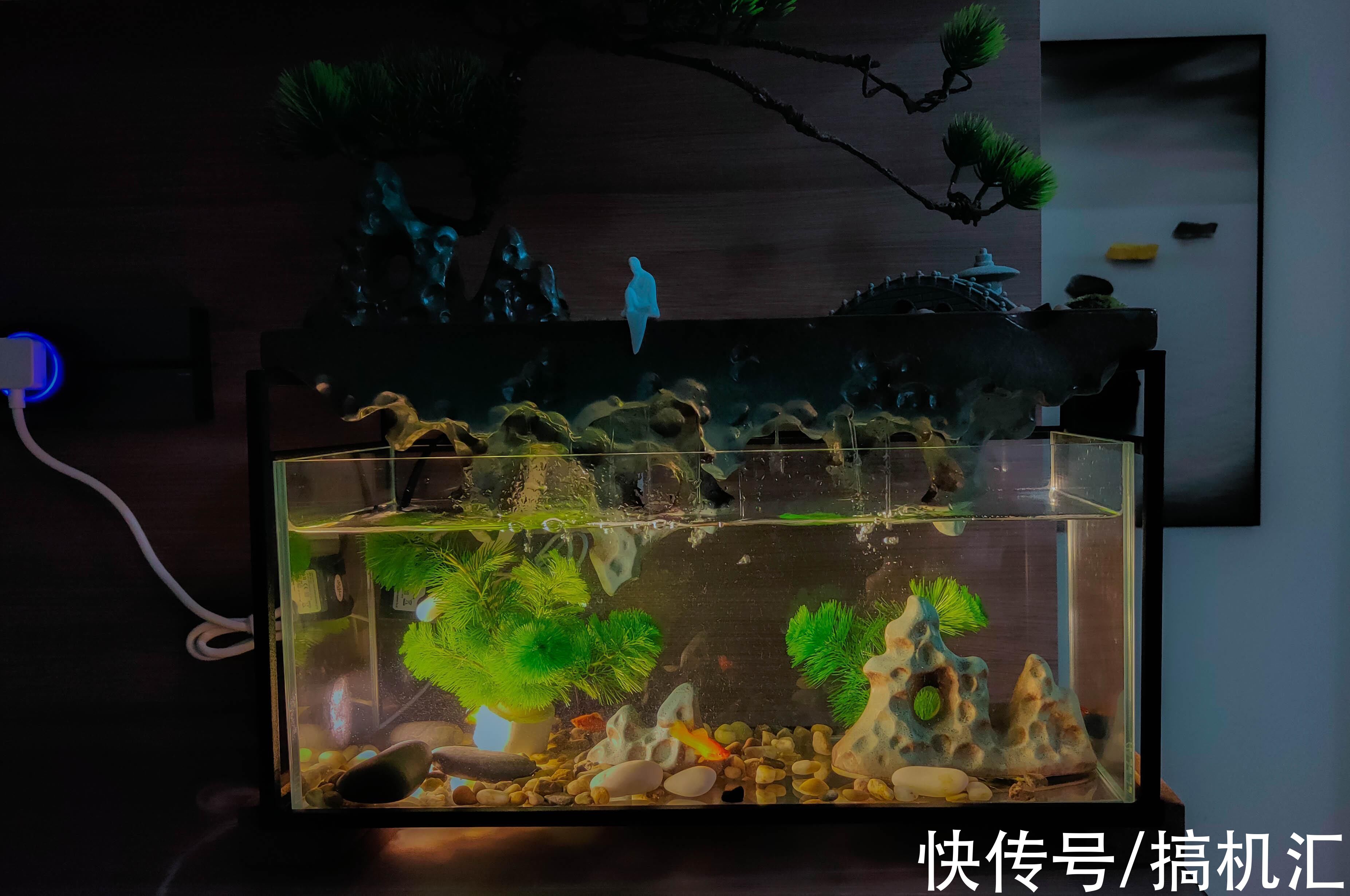 天空之城+流水造型,MOMOYOO水光山色鱼缸体验:萌新养鱼记