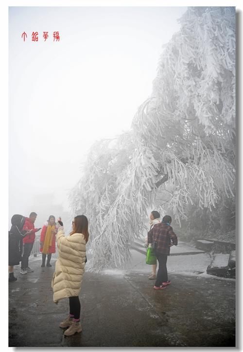 铅山|铅山葛仙山白雪皑皑，犹如冰雪童话世界