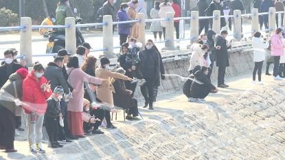 花开|迎春花开 欢度安静祥和年