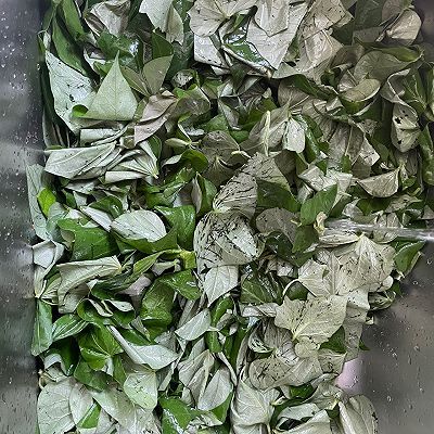 自制|自制红薯叶馒头