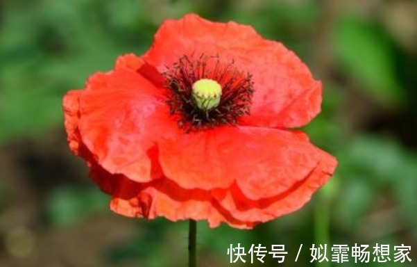 人财两空#俗话说天狂有雨人狂有祸,人再有本事,也别说这4句话!