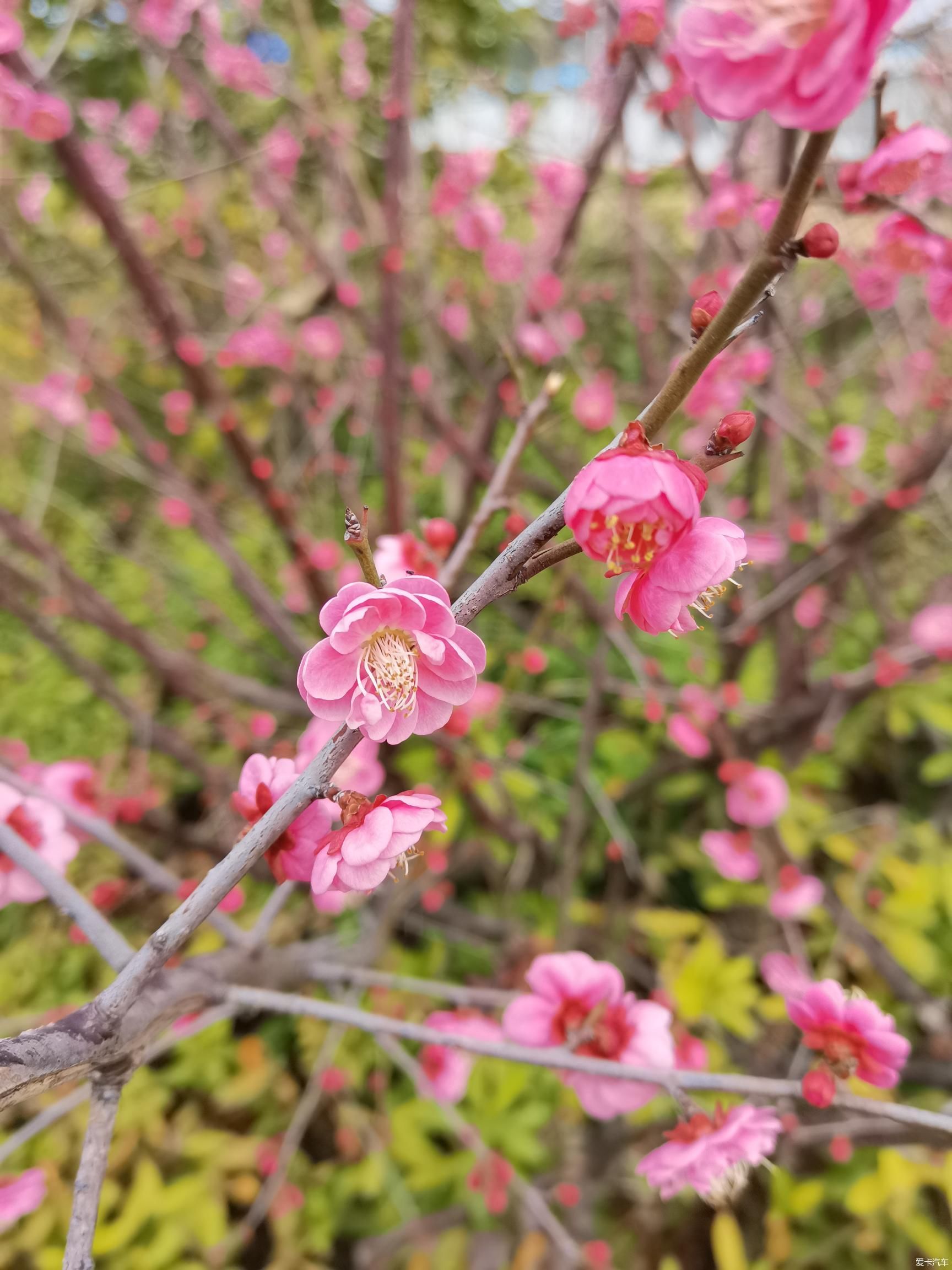 老年|醉美楠溪江～永嘉书院