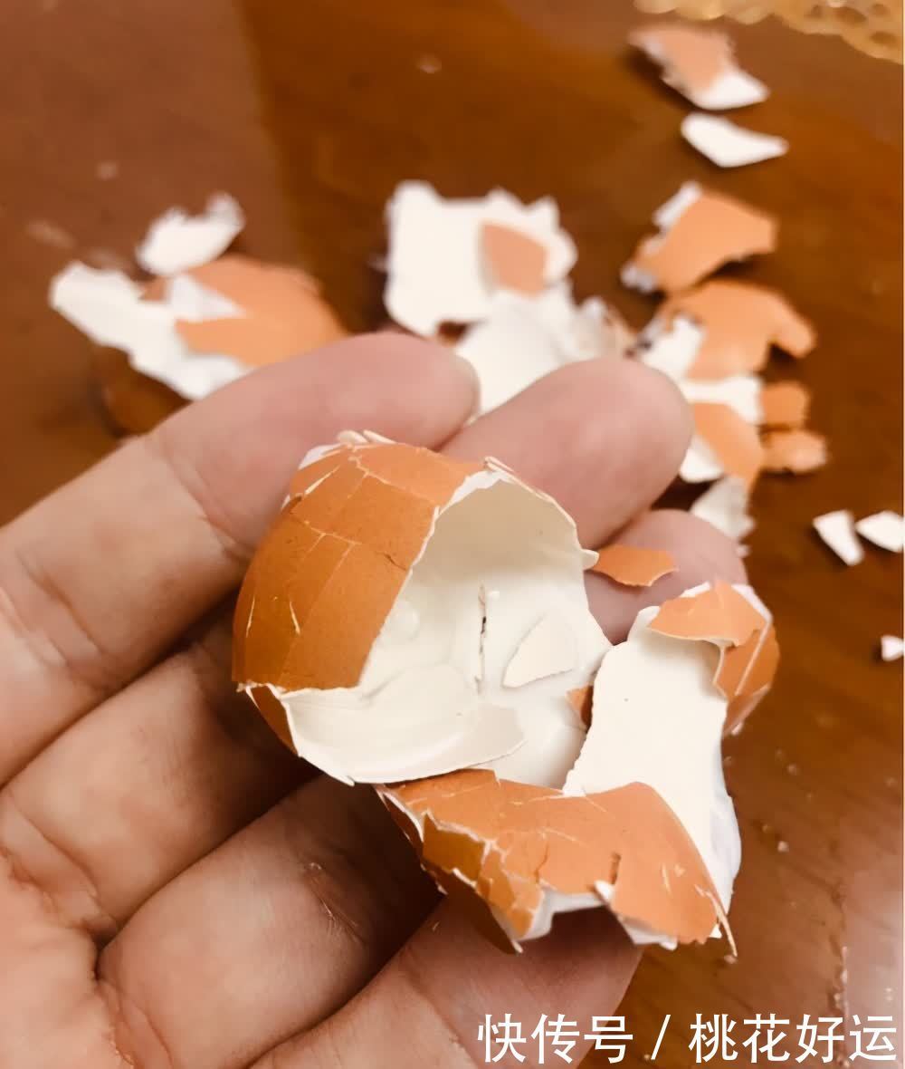 鸡蛋壳|家里4种不起眼的东西拿来养花,土壤更疏松,花花长得更快更好