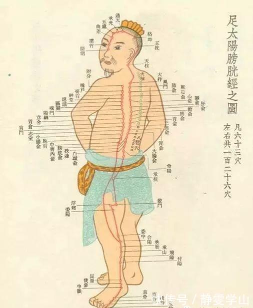 功能失调|肥胖是你这里不通,瘦大腿,瘦肚子,瘦背其实并不难!