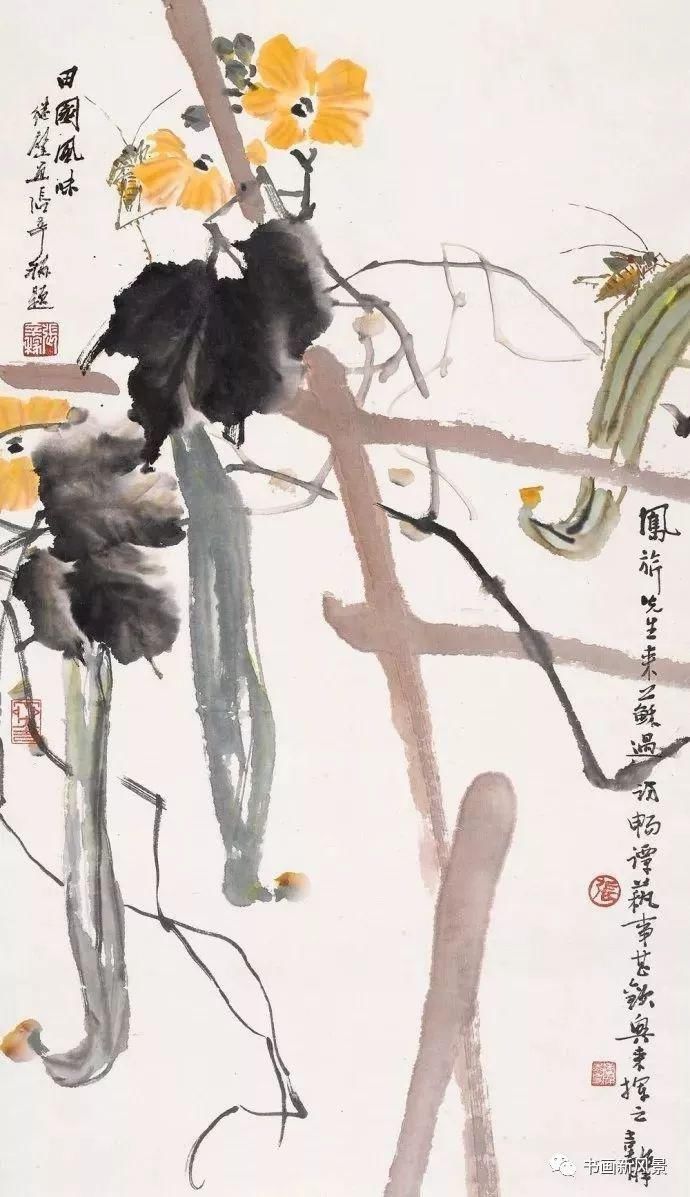  张辛稼|一鸟一虫一世界，真美！