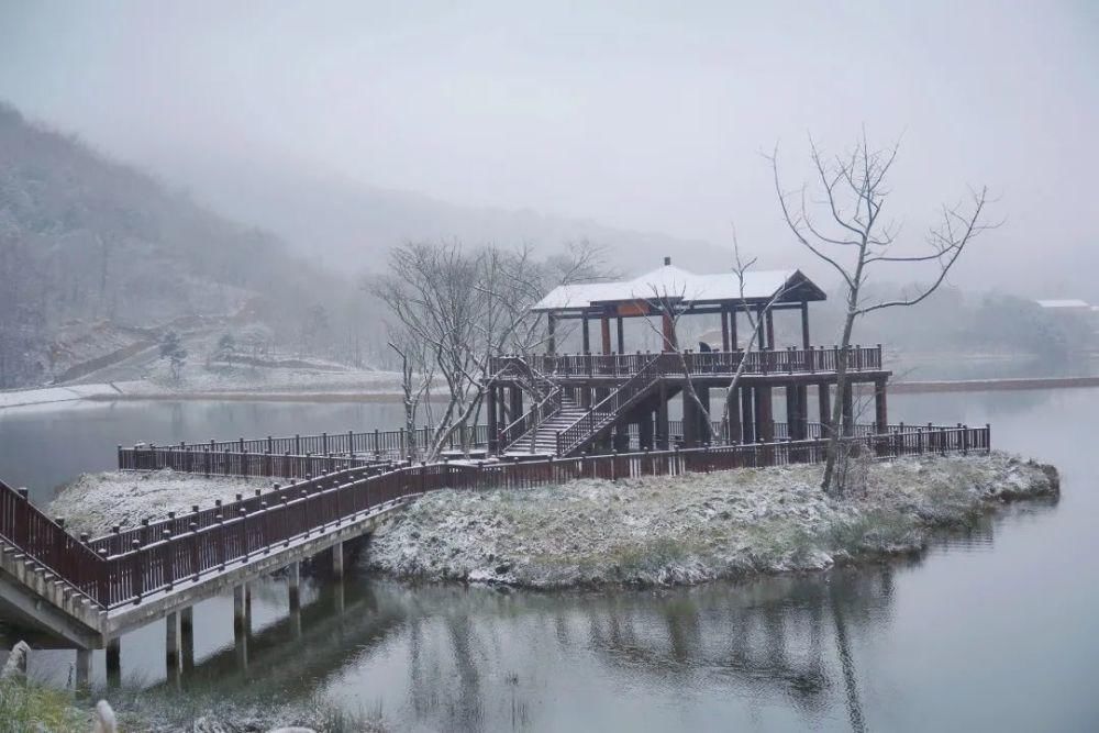 下雪|太美了！月坝下雪啦，刷爆朋友圈！