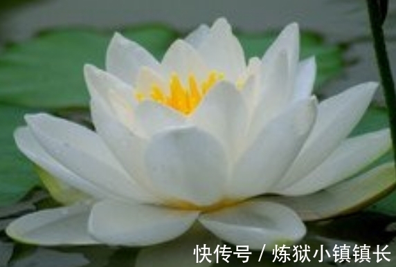 大涨|7月中旬，吉星照耀，4属相财运大涨，升职加薪，日子甜蜜蜜