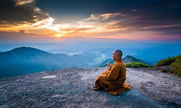 果园|智者虚怀若谷，愚者格格不入