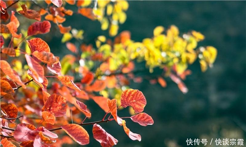 摩崖|摩崖刻经历千年,天下奇绝娲皇宫,独具魅力的山水画