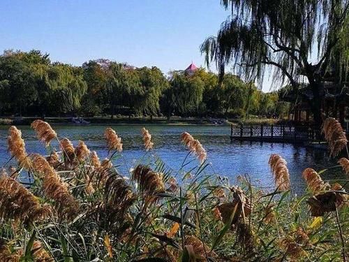  还好|许瑞举｜一切还好，热爱未泯