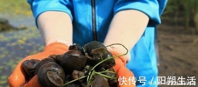 大鱼|夏季守巨物的3个要素，“诱鱼、留鱼、钓鱼”，缺一不可！