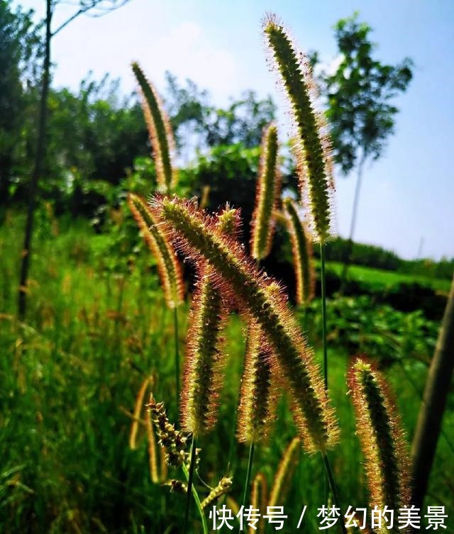 散文诗秋 ·之私语