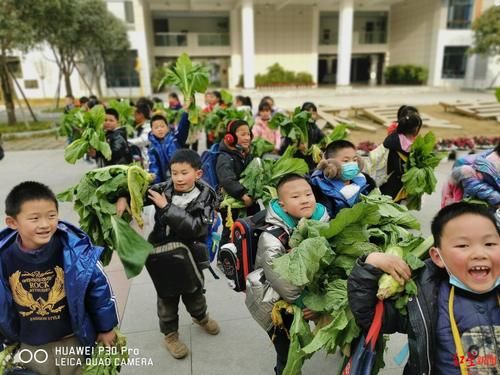 成都一学校期末给学生发青菜，劳动教育的生动诠释