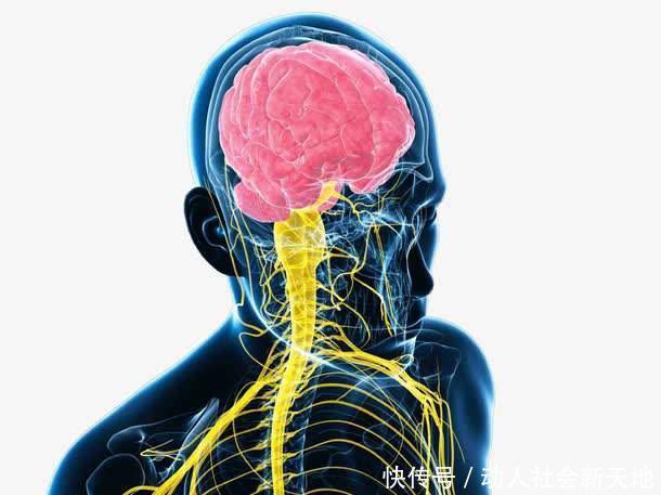 绕道|脑供血不足的人，记住4个小妙招，软化血管脑梗或会绕道走！
