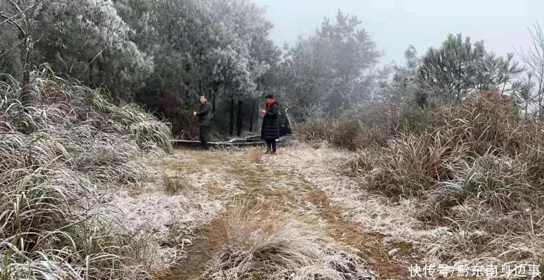 路段实施|凯里小高山一夜白头 最美雪景如约而至