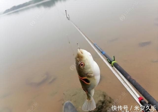 钓鱼从调漂开始，简单的调漂，从浮漂了解双钩水底状态