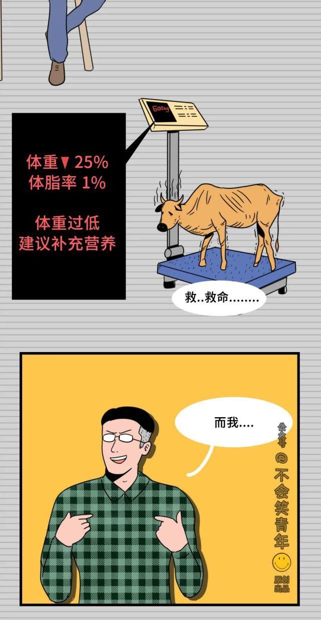奇葩|华为奇葩面试题：一头牛重800公斤一座桥承重700公斤，请问牛怎么过桥？