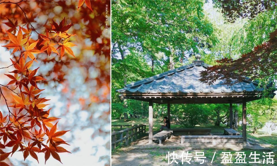 青森|日本青森夏日祭--神秘而热闹的睡魔祭