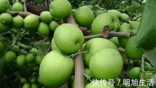 排毒|女人不想皱纹爬满脸,推荐常吃3种果蔬,排毒抗衰,营养又健康!