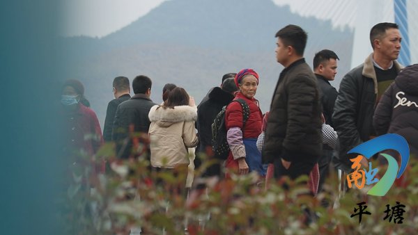 中年|网络中国节｜【新春走基层】平塘特大桥迎来旅游热潮