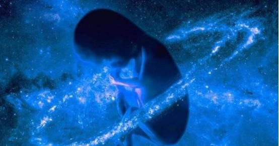 人类 人类为何找不到外星生命?新观点认为:人类一开始的想法就错了