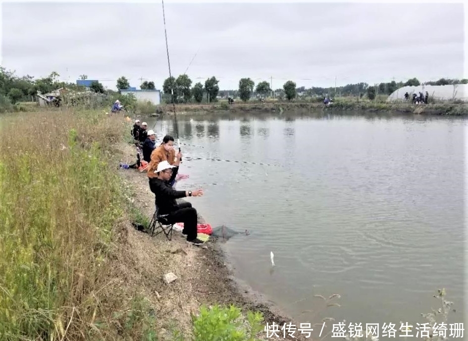 为何一到夏天鱼口就不好?采取这些措施,让鱼乖乖吃饵