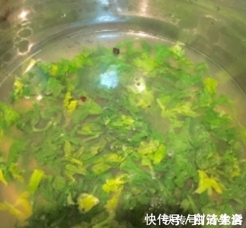 皮肤干燥|有一种蔬菜的叶子,吃一顿相当于三斤苹果,多数人却扔掉了