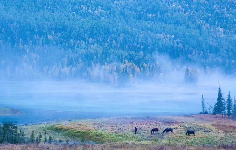 谋于|《战国策》成大功者不谋于众