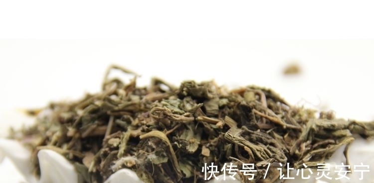 蒲公英|蒲公英不是万能药，但四个主要作用名不虚传，希望不要喝错