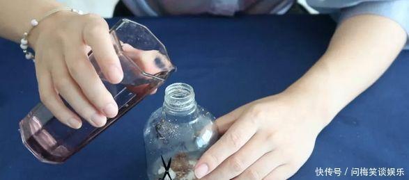 苍蝇|当洗衣粉碰到白糖，作用超乎想象，能解决你的家庭大难题