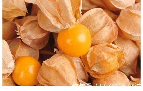 阿科比|农村即将“消失”的野果子,吃过4种正常,全吃过的说明您真老了