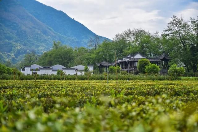 “五一”来天然氧吧-安徽石台，享受一次养心之旅