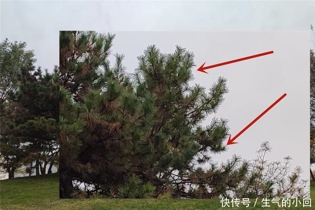 Redmi|Redmi Note 9系列评测:性价比大成之作