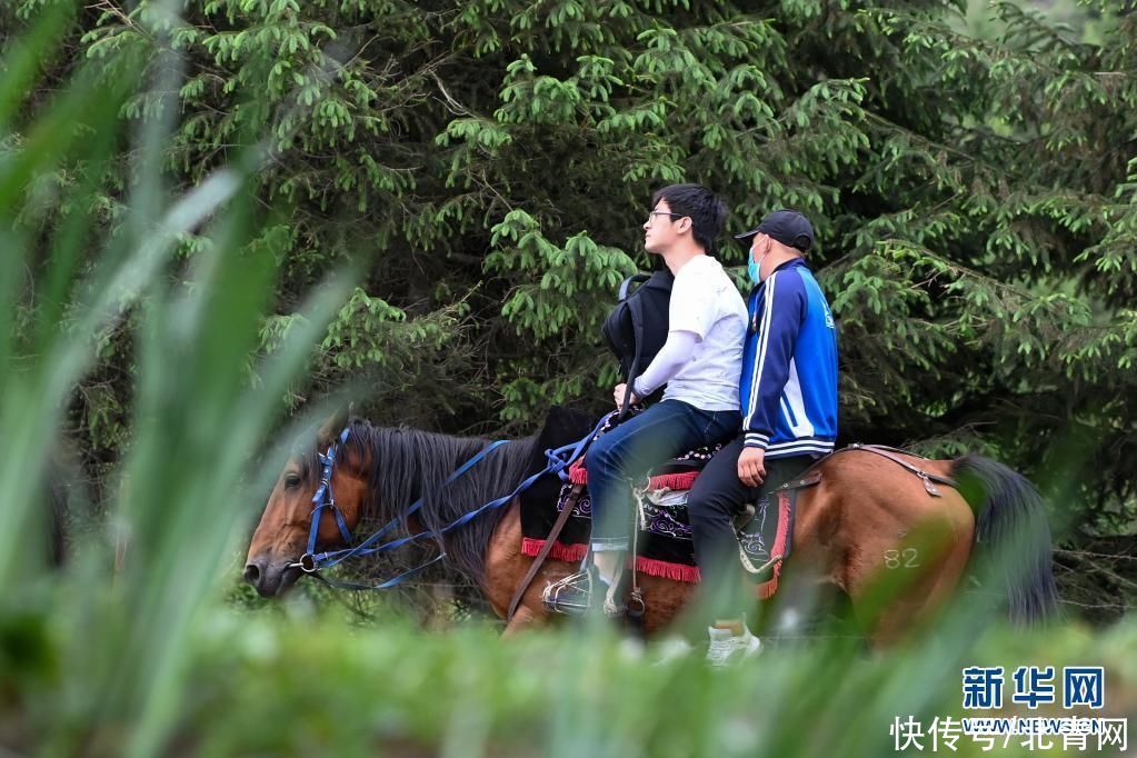 东门|草原马队：“马”上迎来好生活