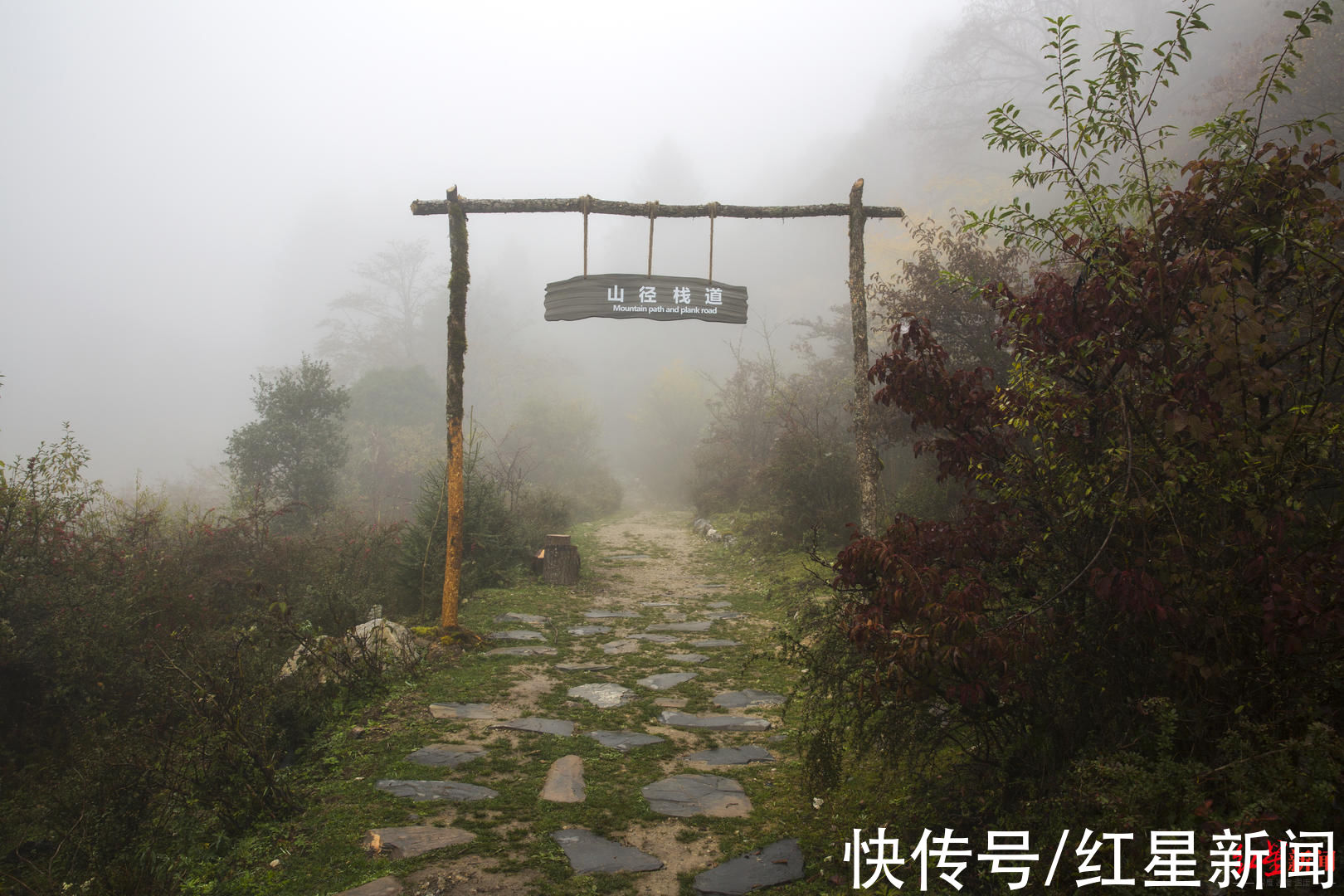 熊猫园|走进九寨新12景｜深山秘境甲勿海 大熊猫“民宿”住着4只可爱的滚滚