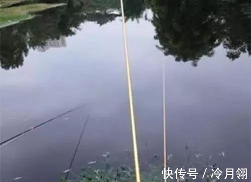 钓友|冬季巧用漂,鱼获不会少,冬季野钓最实用的调漂技巧