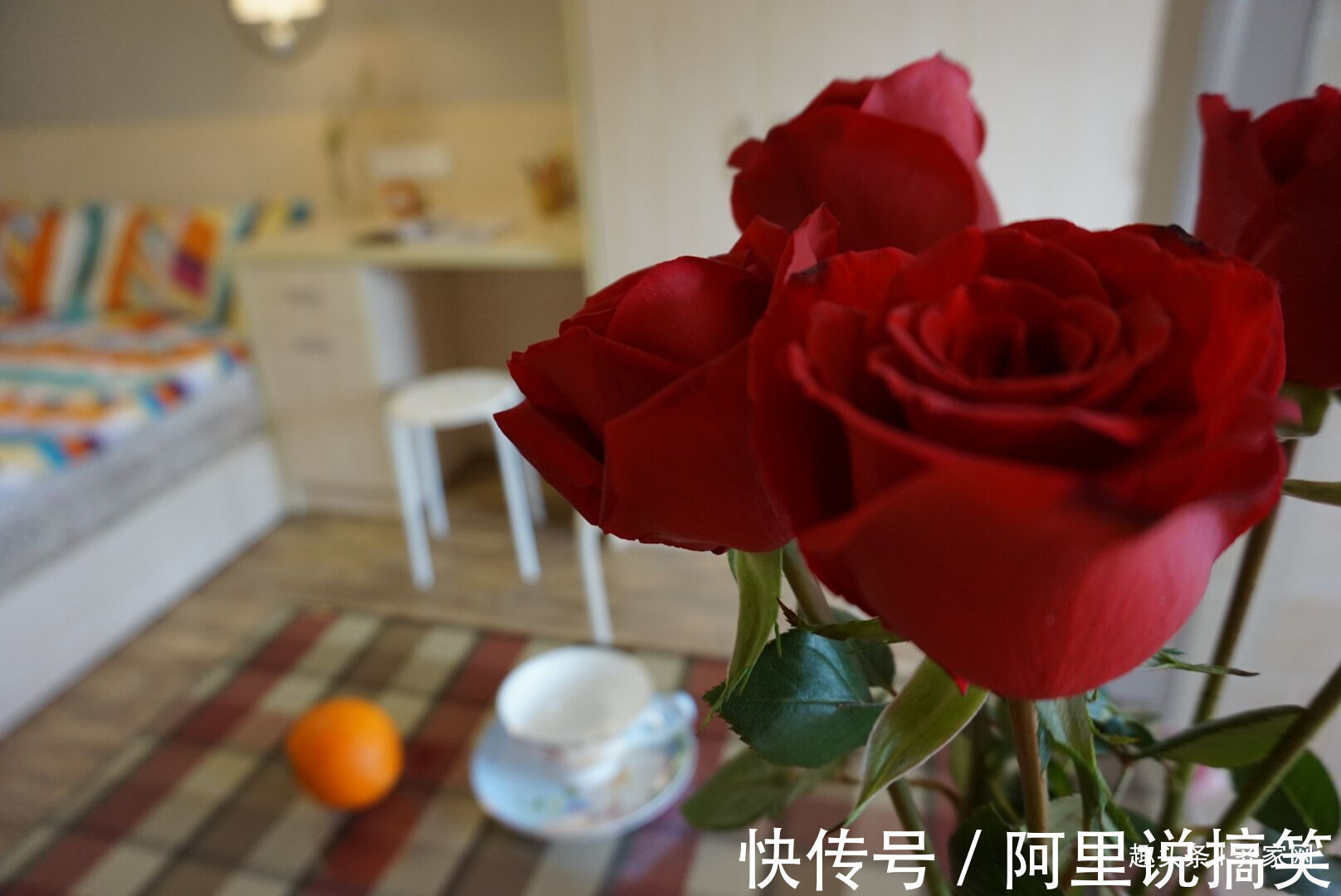 一居室|小户型一居室,做一个会送自己玫瑰花的女孩!