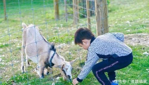 出息|孩子将来能否有本事,早已“命中注定”,李玫瑾:看这3个方面