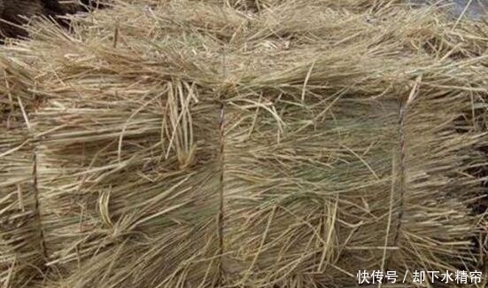 智慧|宋朝以前没棉被，那古人冬天是怎样御寒的？不得不佩服古人的智慧