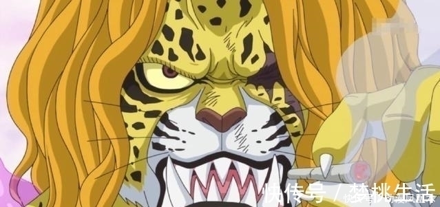 佩德羅|海賊王 5只月亮獅子帥氣, 佩德羅霸氣, 加洛特高冷, 貓蝮蛇肥壯