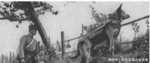 制裁|抗战时日军一种特殊武器,让大量百姓丧命,最终却遭中国土狗制裁