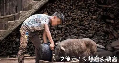 我们的家|“妈妈,我们家有多少钱?”妈妈回答不同,孩子人生观也不同