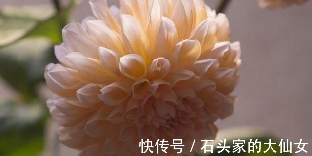 良缘|未来10天，4大星座喜获良缘，红鸳星动，再次相爱今生不改红鸳