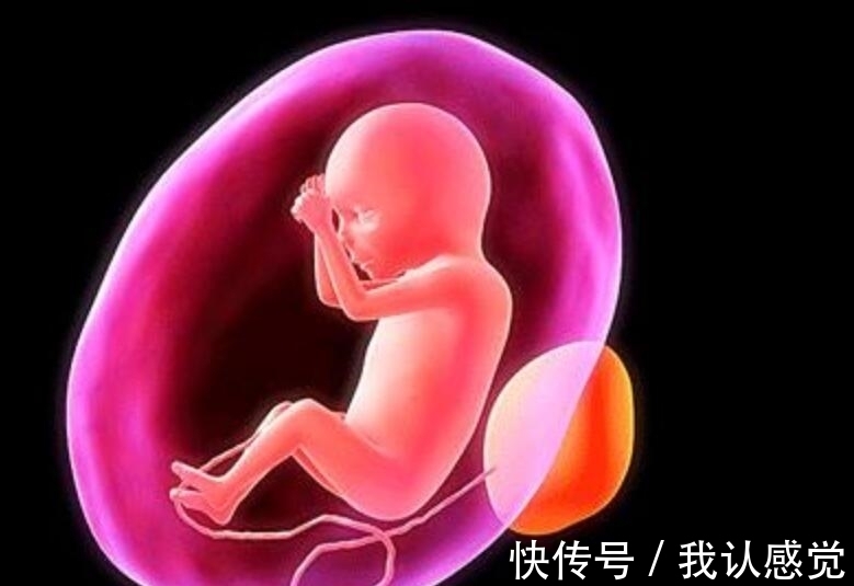 进化|乳头是男性身体上最没用的一个部位，它的作用是什么？