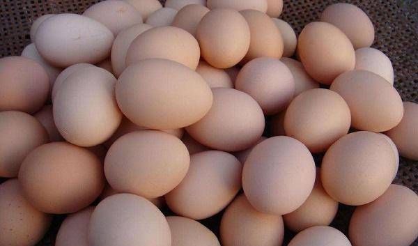 明目|这4种蔬菜对眼睛很好，养肝又明目，老人和孩子要多吃