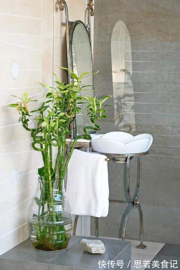 6种“洋气花”，厕所里养的旺，臭味吸光，卫生间变小花园